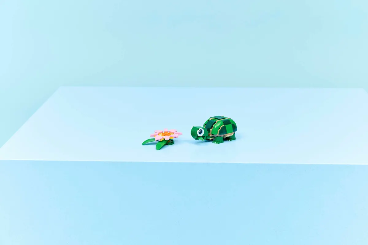 Turtle with a Water Lily Flower - Image 5