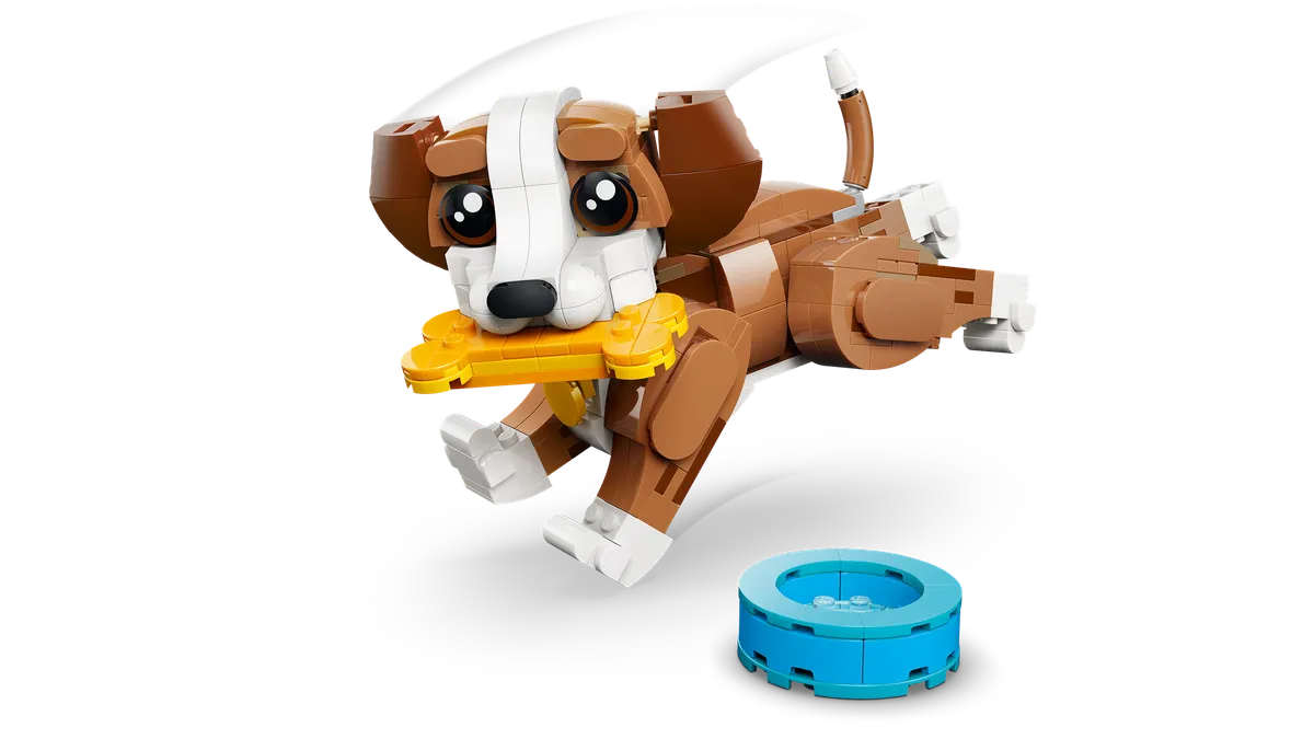 Cute Animals: Playful Puppy Dog - Image 11