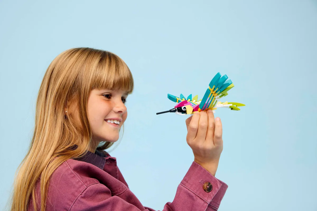 Wild Animals: Colorful Hummingbird - Image 5