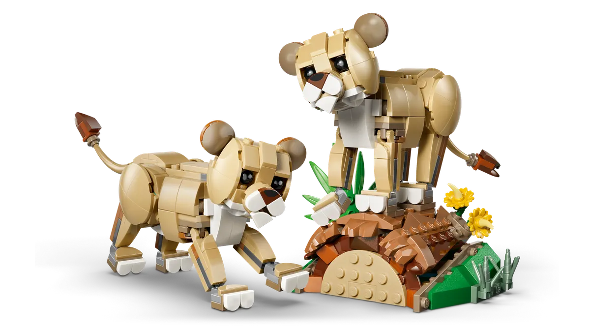 Wild Animals: Majestic Lion - Image 5