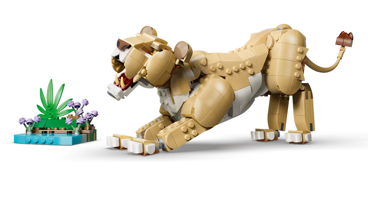 Wild Animals: Majestic Lion - Image 8