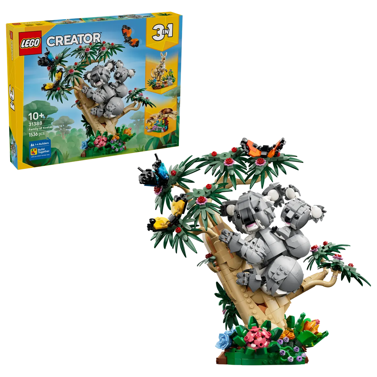 Wild Animals: Family of Koalas - Image 2