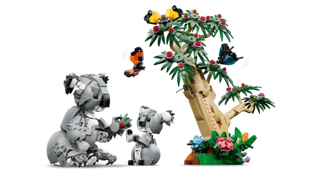Wild Animals: Family of Koalas - Image 10