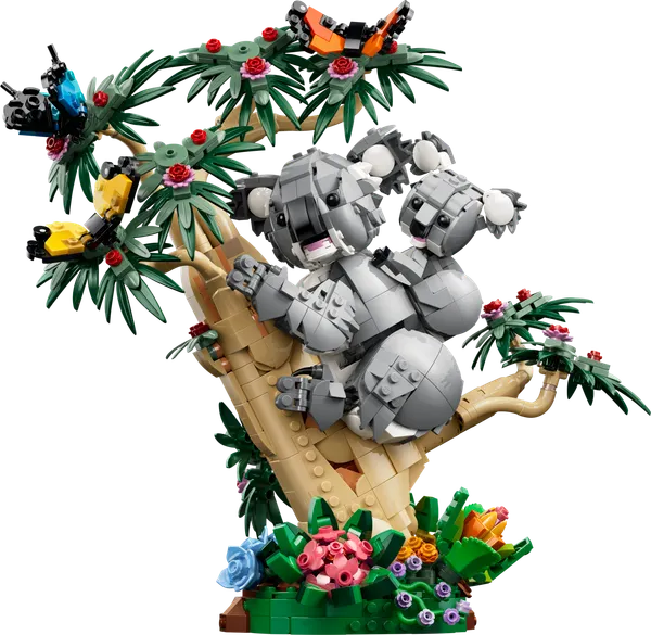 Wild Animals: Family of Koalas