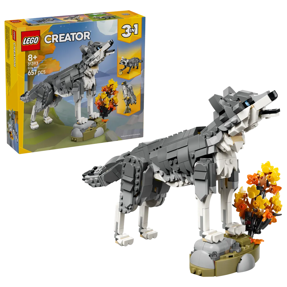Forest Animals: Gray Wolf - Image 2