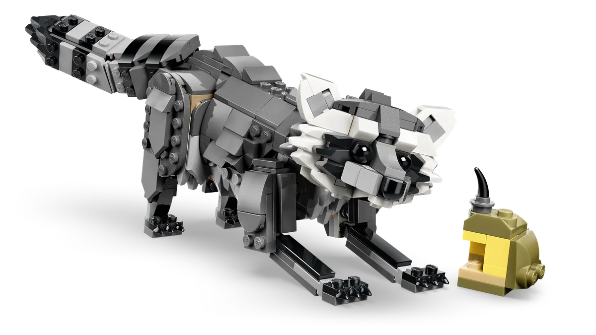 Forest Animals: Gray Wolf - Image 11