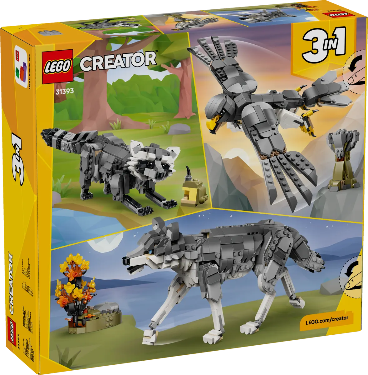 Forest Animals: Gray Wolf - Image 3