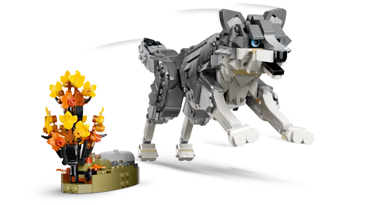 Forest Animals: Gray Wolf - Image 6