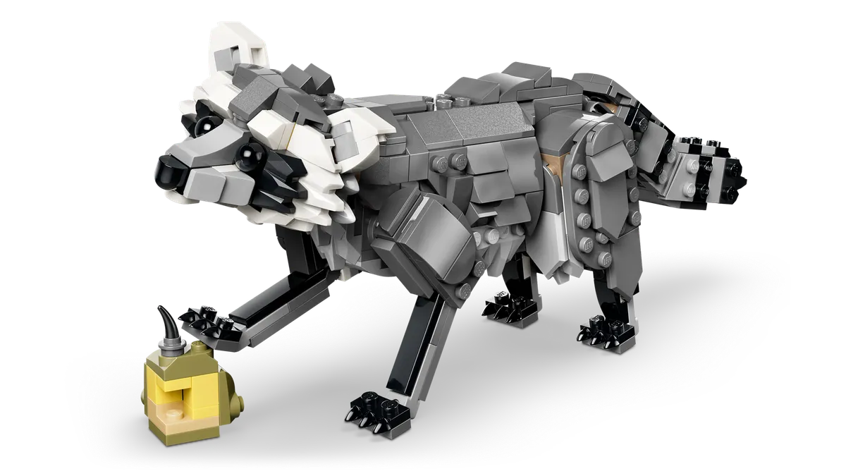 Forest Animals: Gray Wolf - Image 5