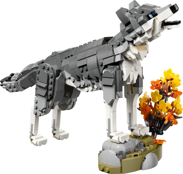 Forest Animals: Gray Wolf