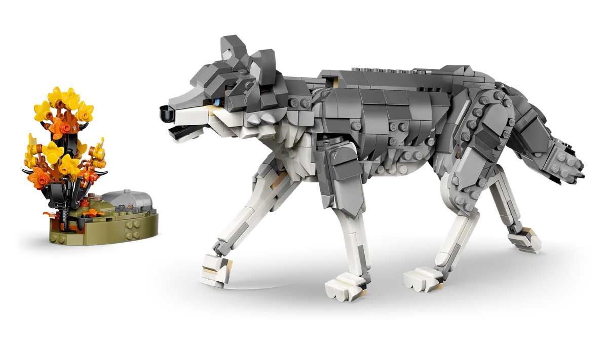 Forest Animals: Gray Wolf - Image 9