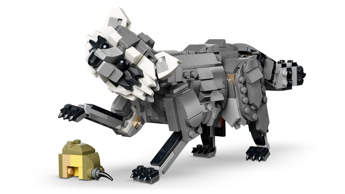 Forest Animals: Gray Wolf - Image 8