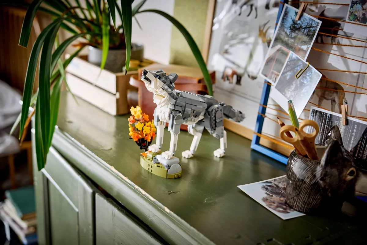 Forest Animals: Gray Wolf - Image 15