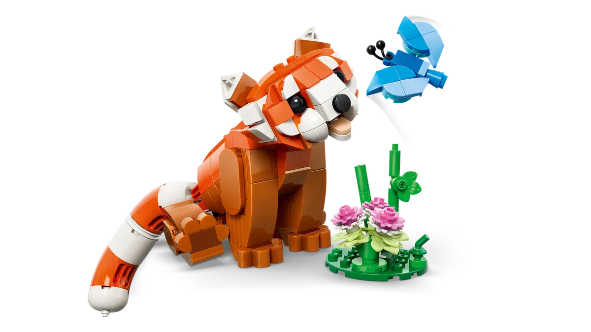 Cute Animals: Red Panda - Image 4