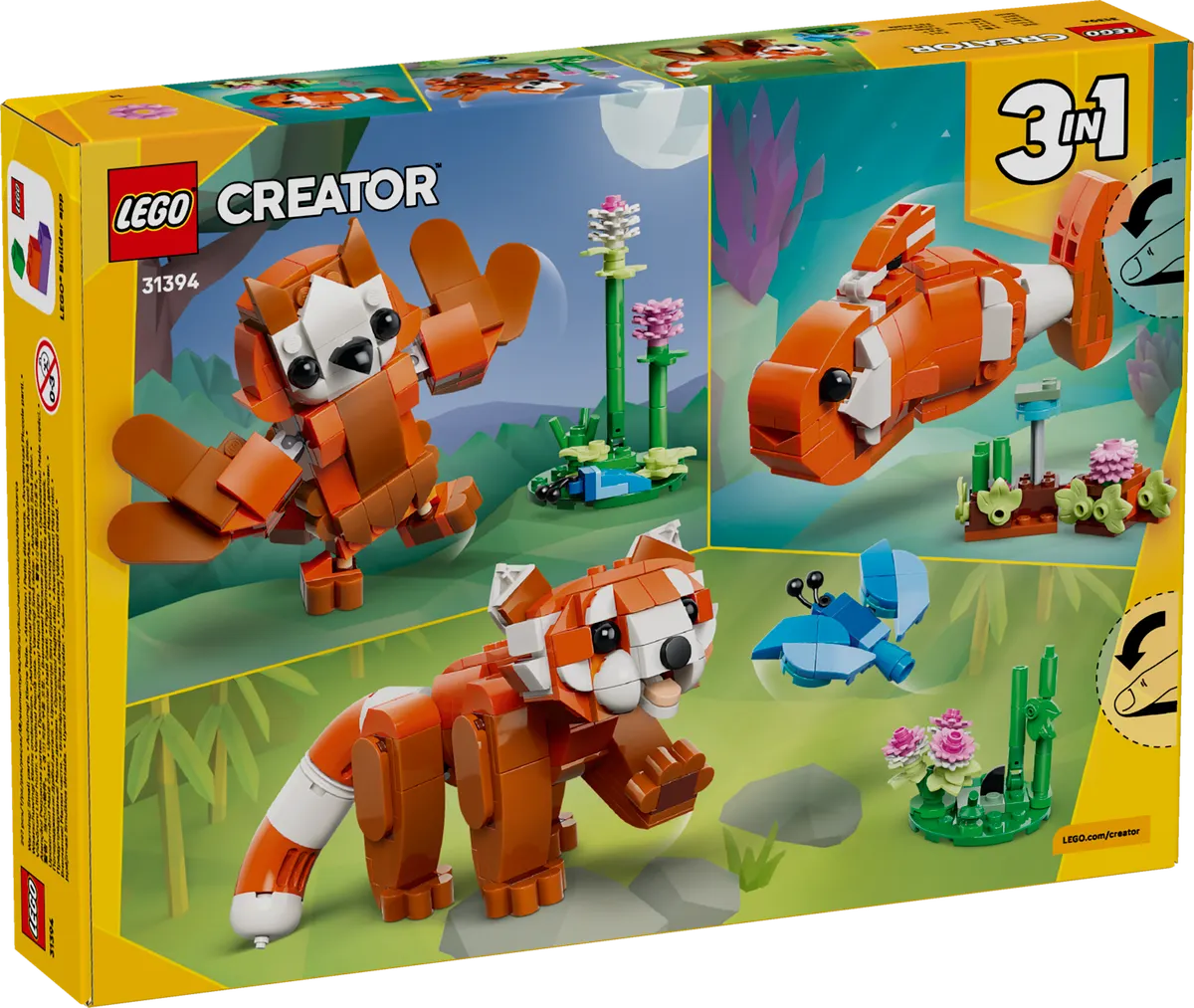 Cute Animals: Red Panda - Image 3