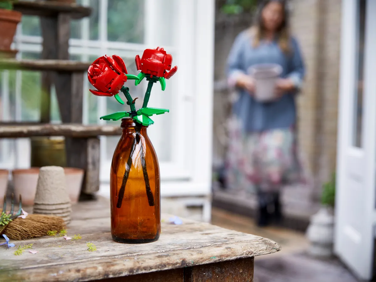 Roses - Image 2