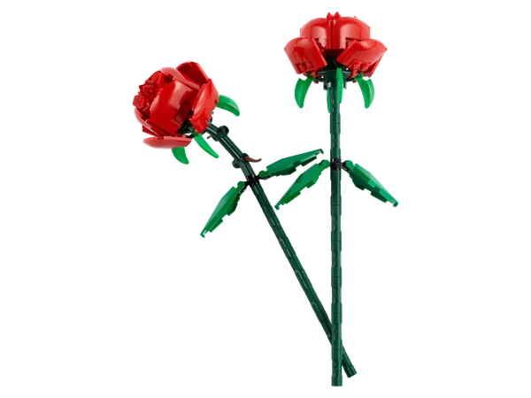Roses