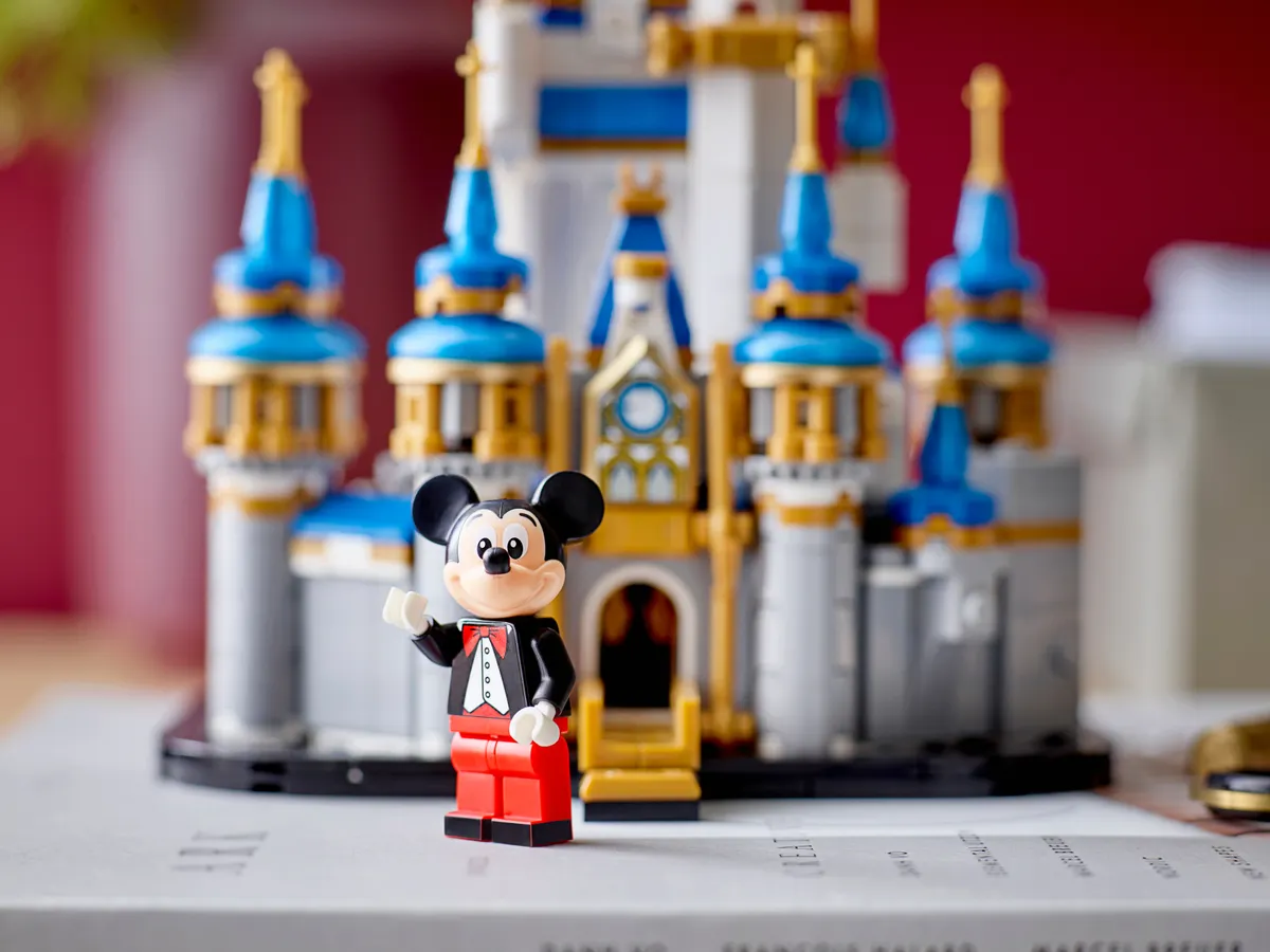 Mini Disney Castle - Image 5