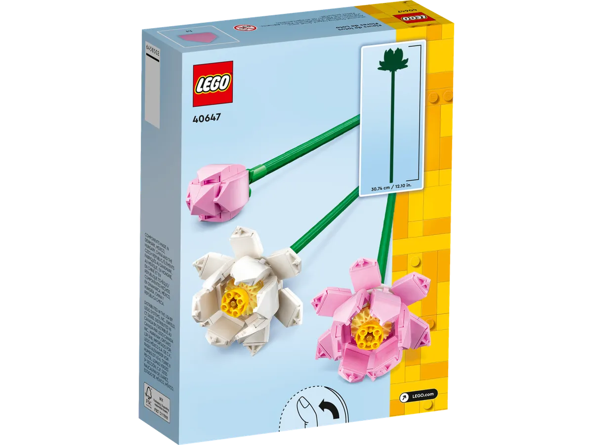 Lotus Flowers - Image 3