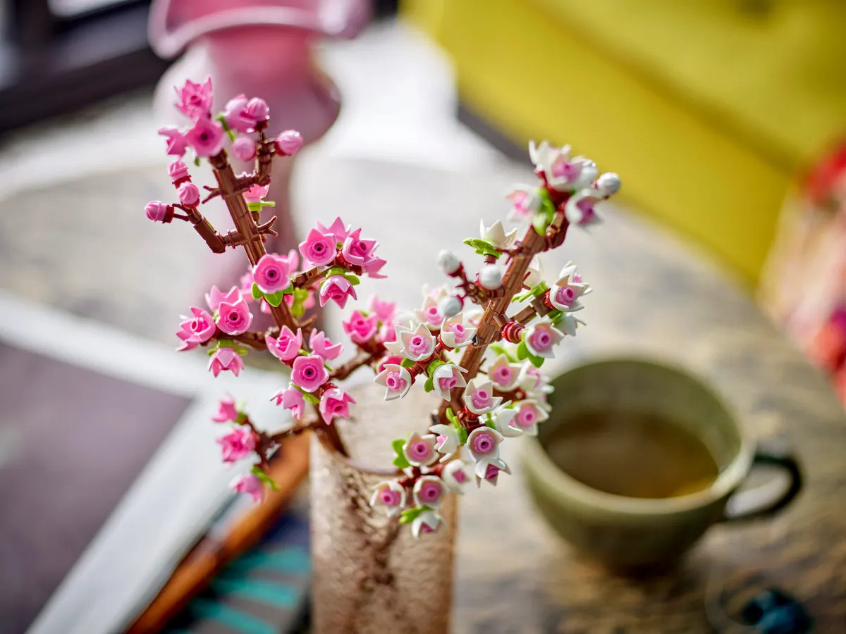 Cherry Blossoms - Image 4