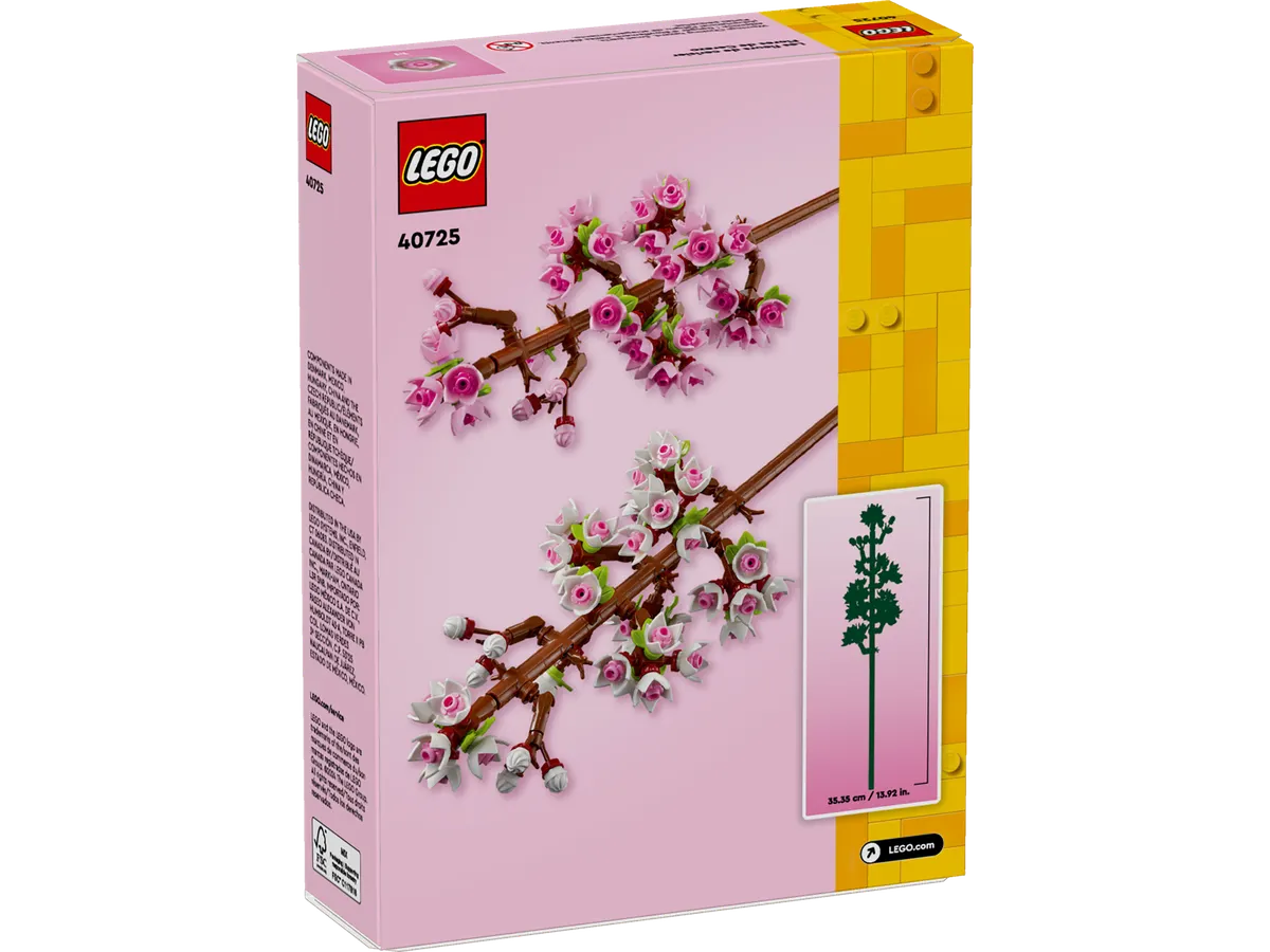 Cherry Blossoms - Image 2