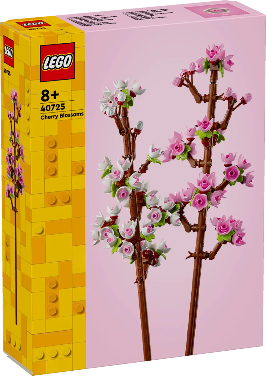 Cherry Blossoms - Image 6