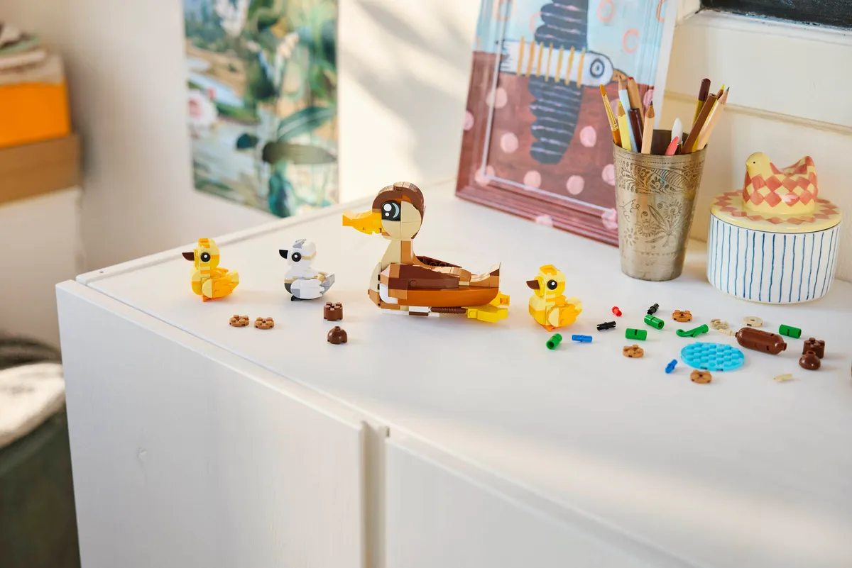 Duck Family - Image 4