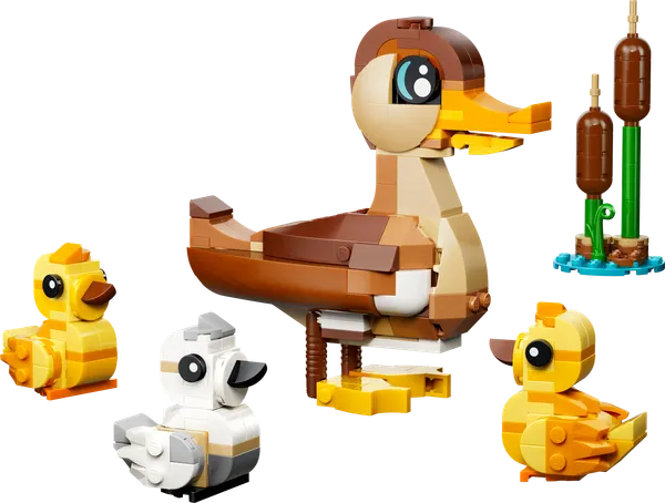 Duck Family