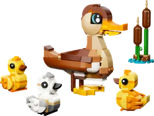 Duck Family