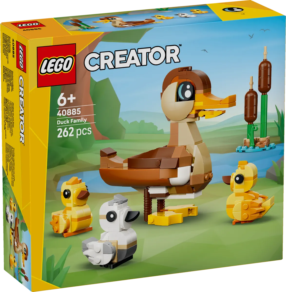 Duck Family - Image 2