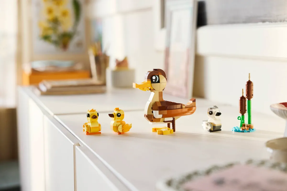 Duck Family - Image 5