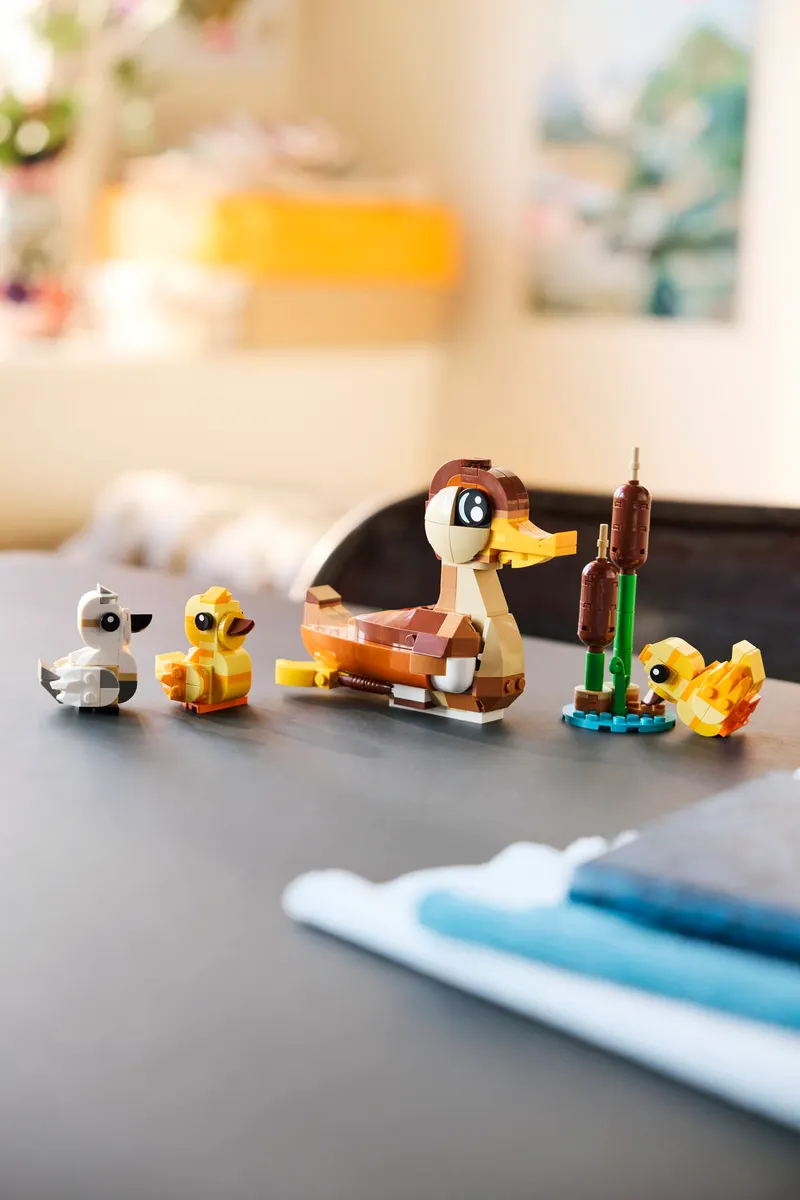 Duck Family - Image 7