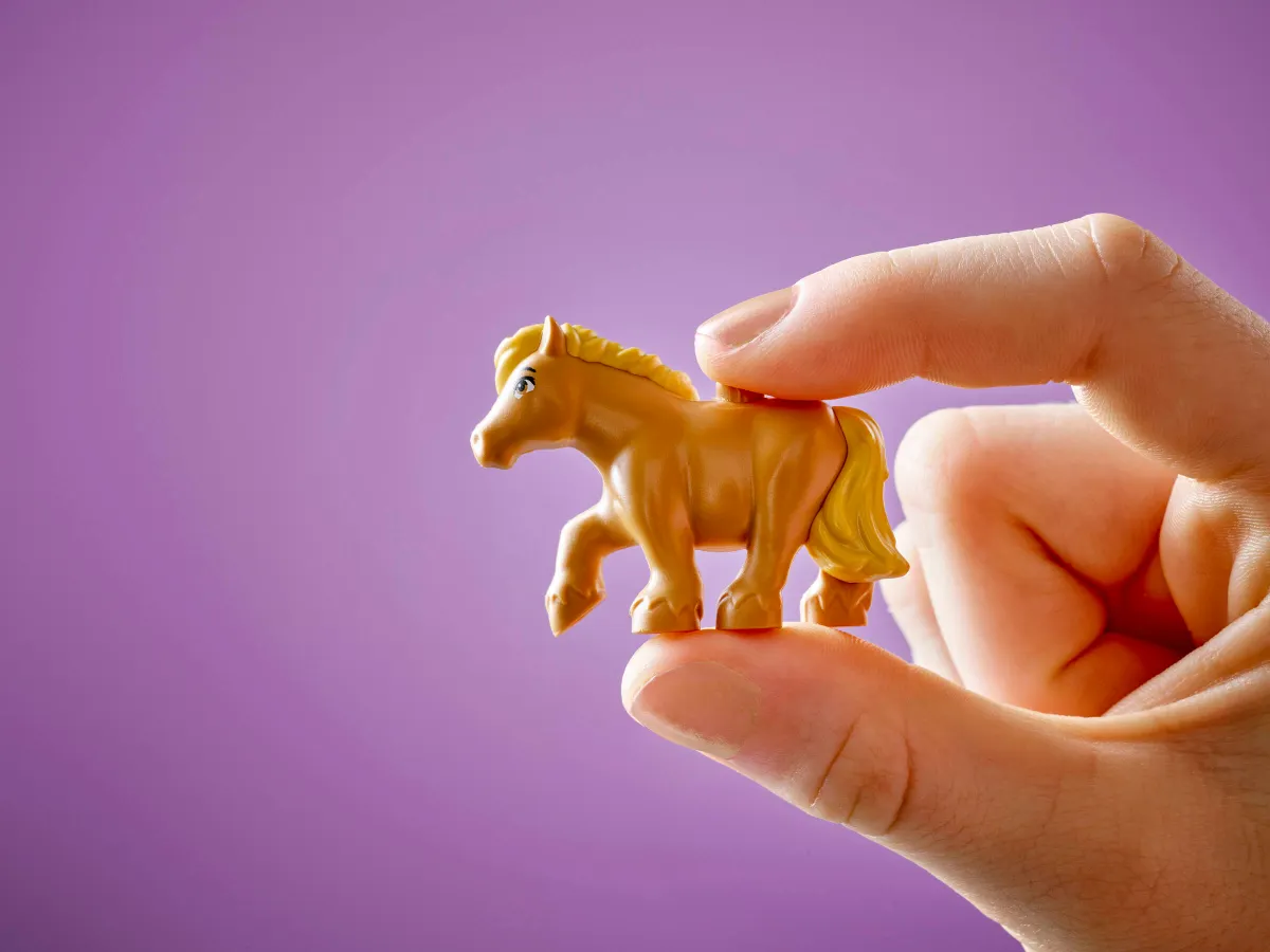 Pony Ranch & Stable - Image 4