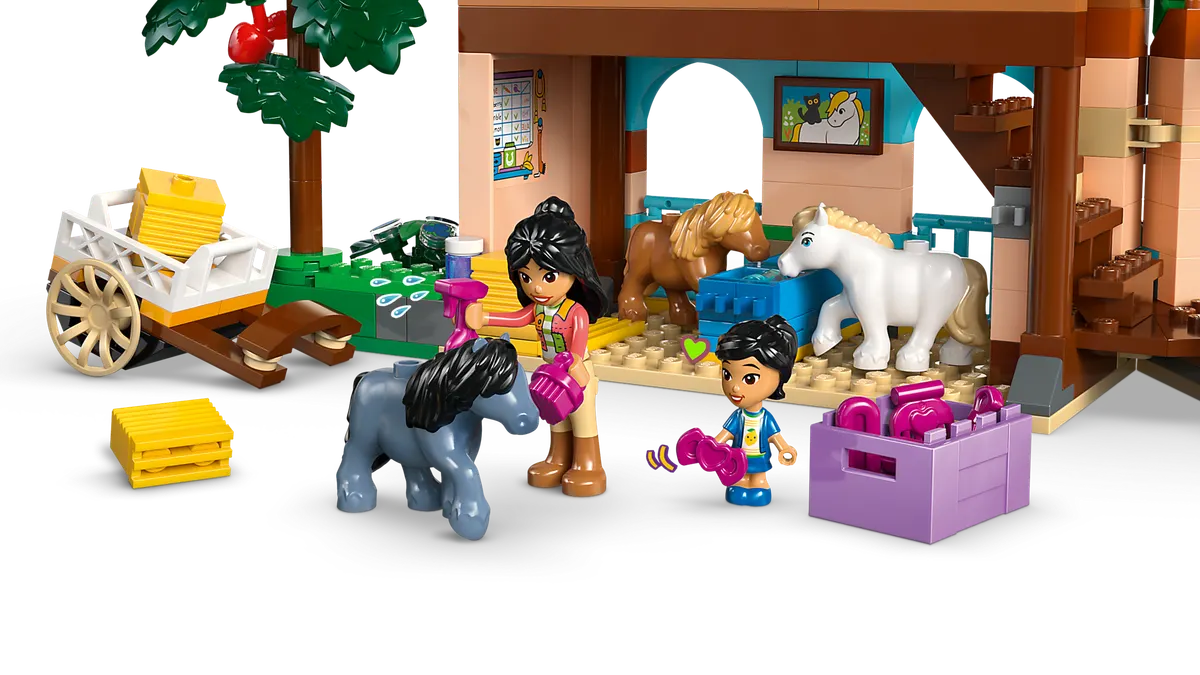 Pony Ranch & Stable - Image 12