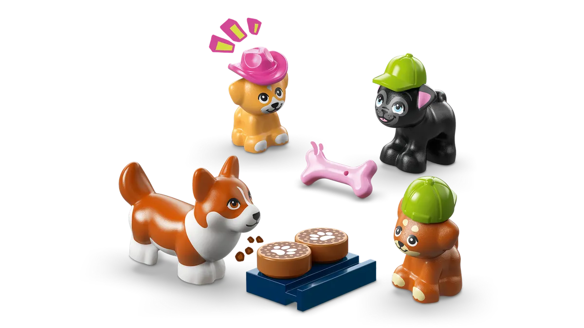 Dog Treats Bakery - Image 12