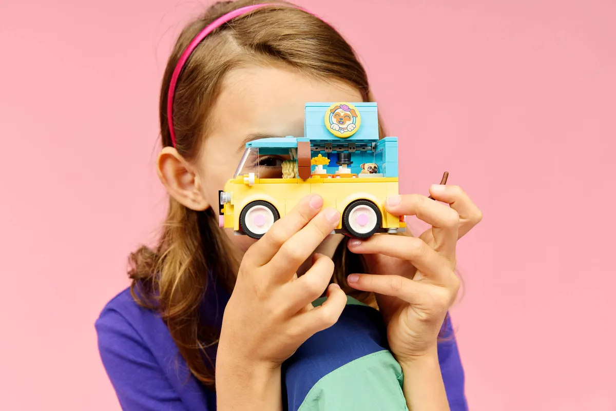 Pet Accessories Van - Image 4