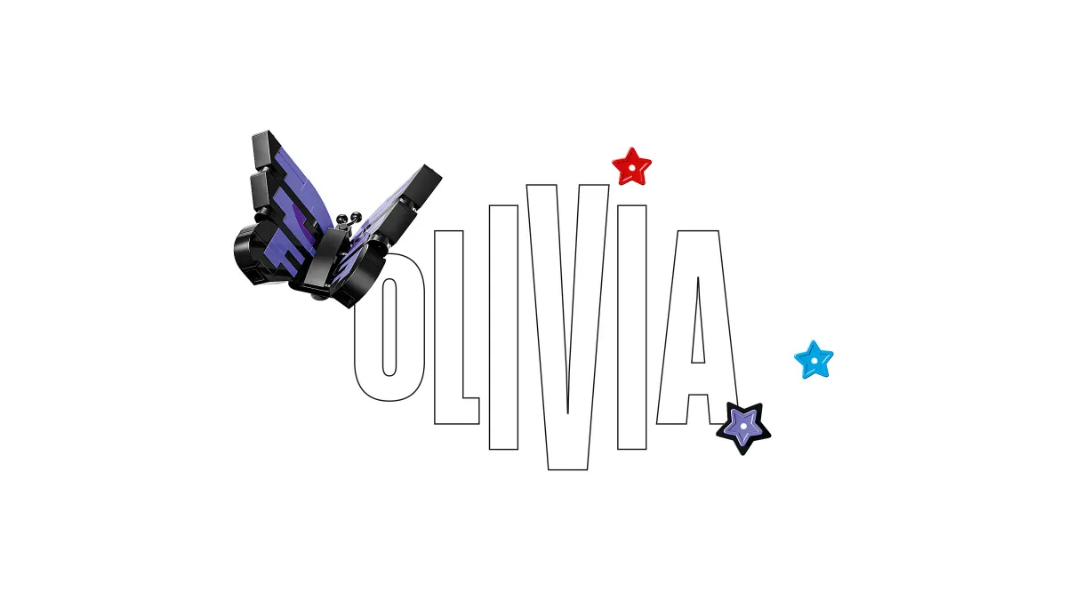 Olivia Rodrigo's Secret Storage - Image 5