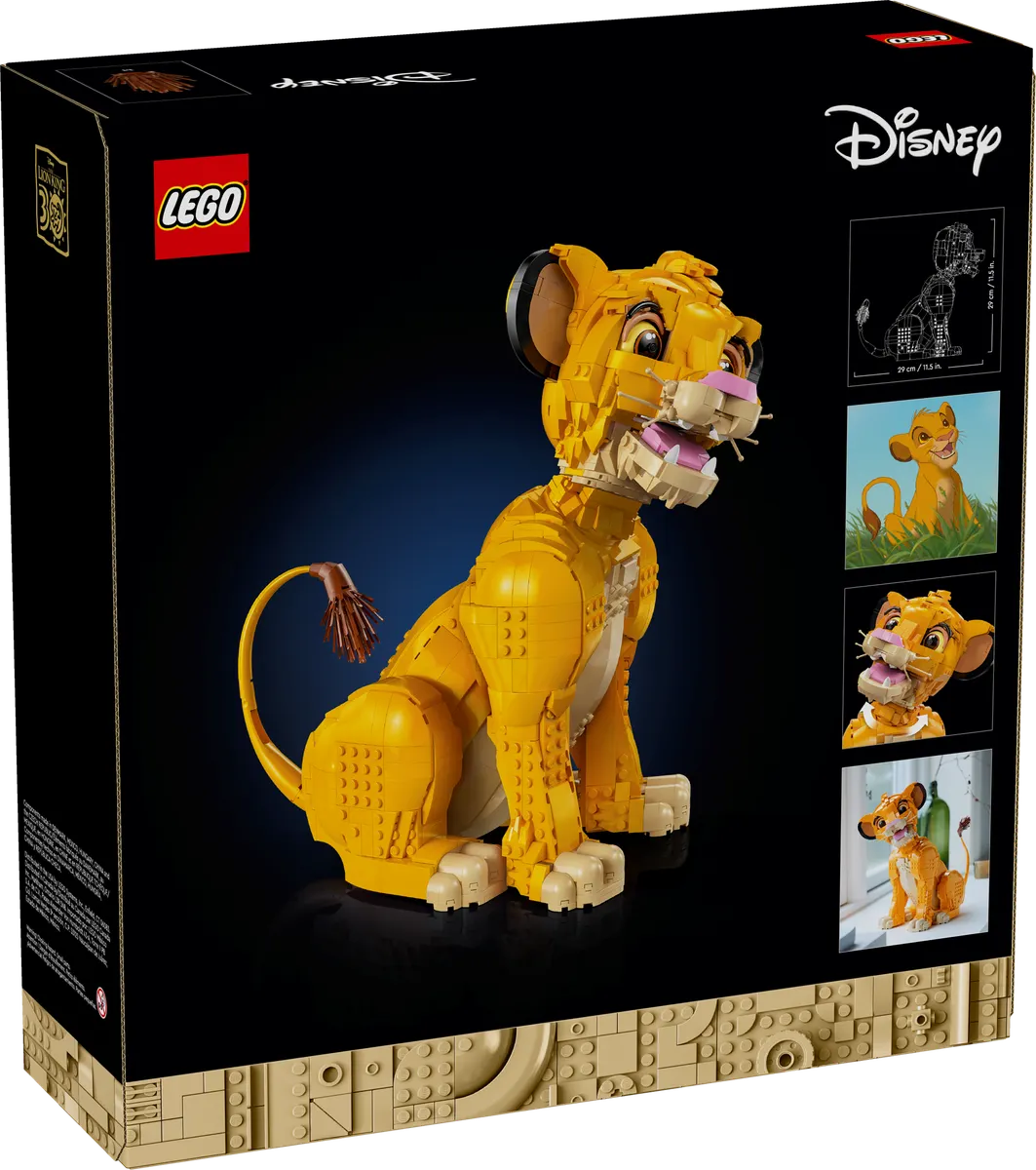 Young Simba the Lion King - Image 8