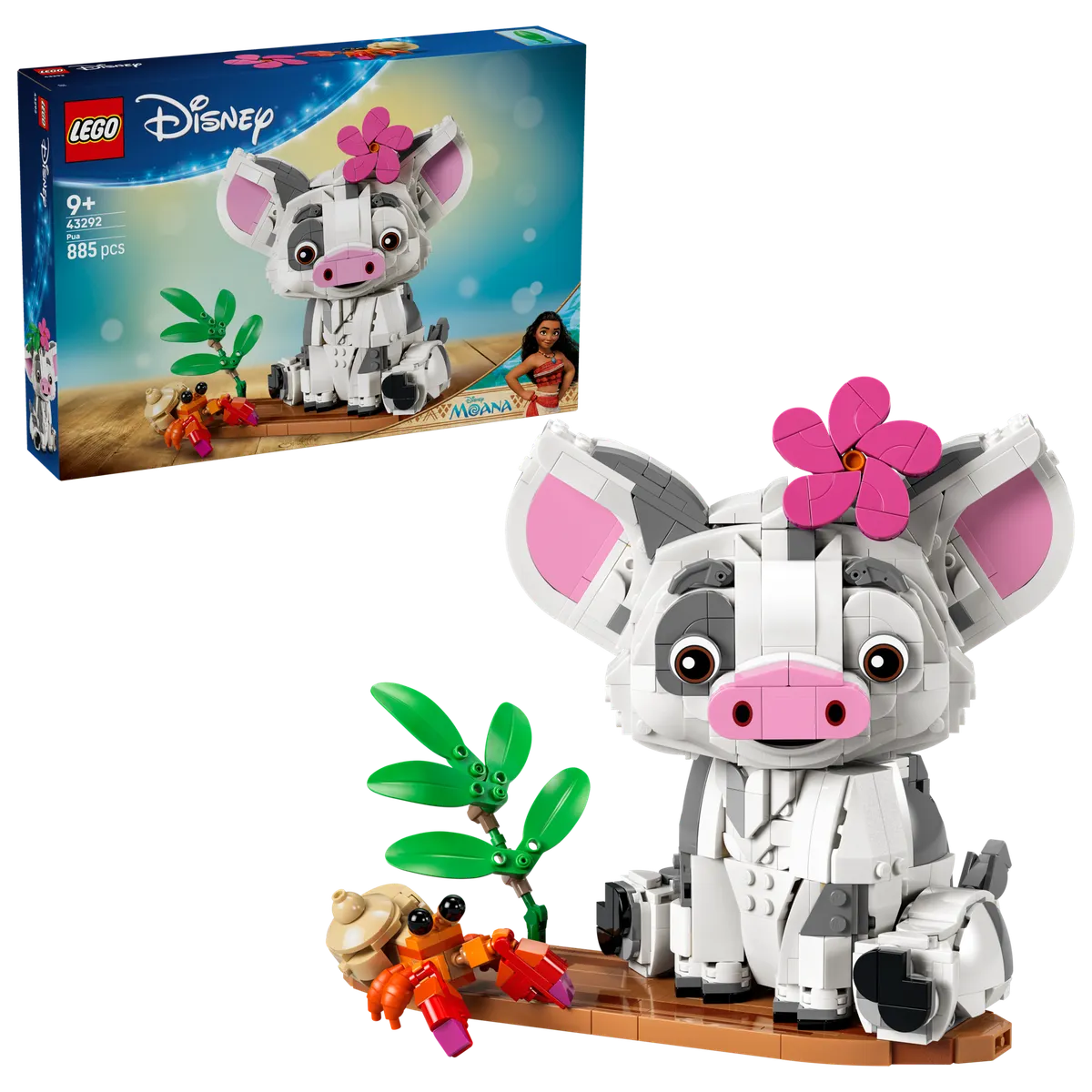 Pua - Image 2