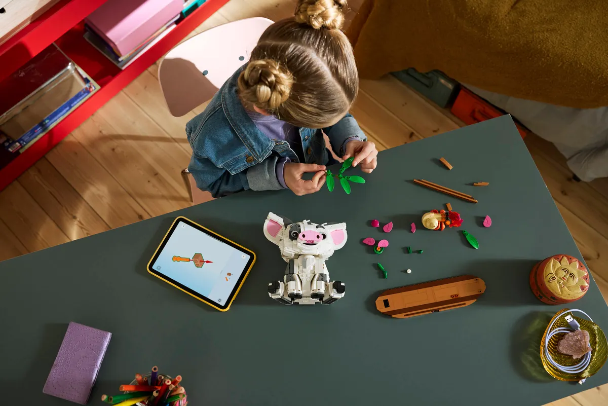 Pua - Image 8