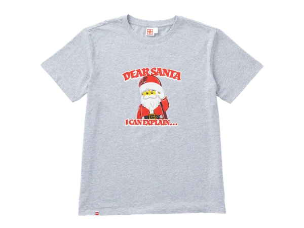 Adults' Short Sleeve Dear Santa T-Shirt