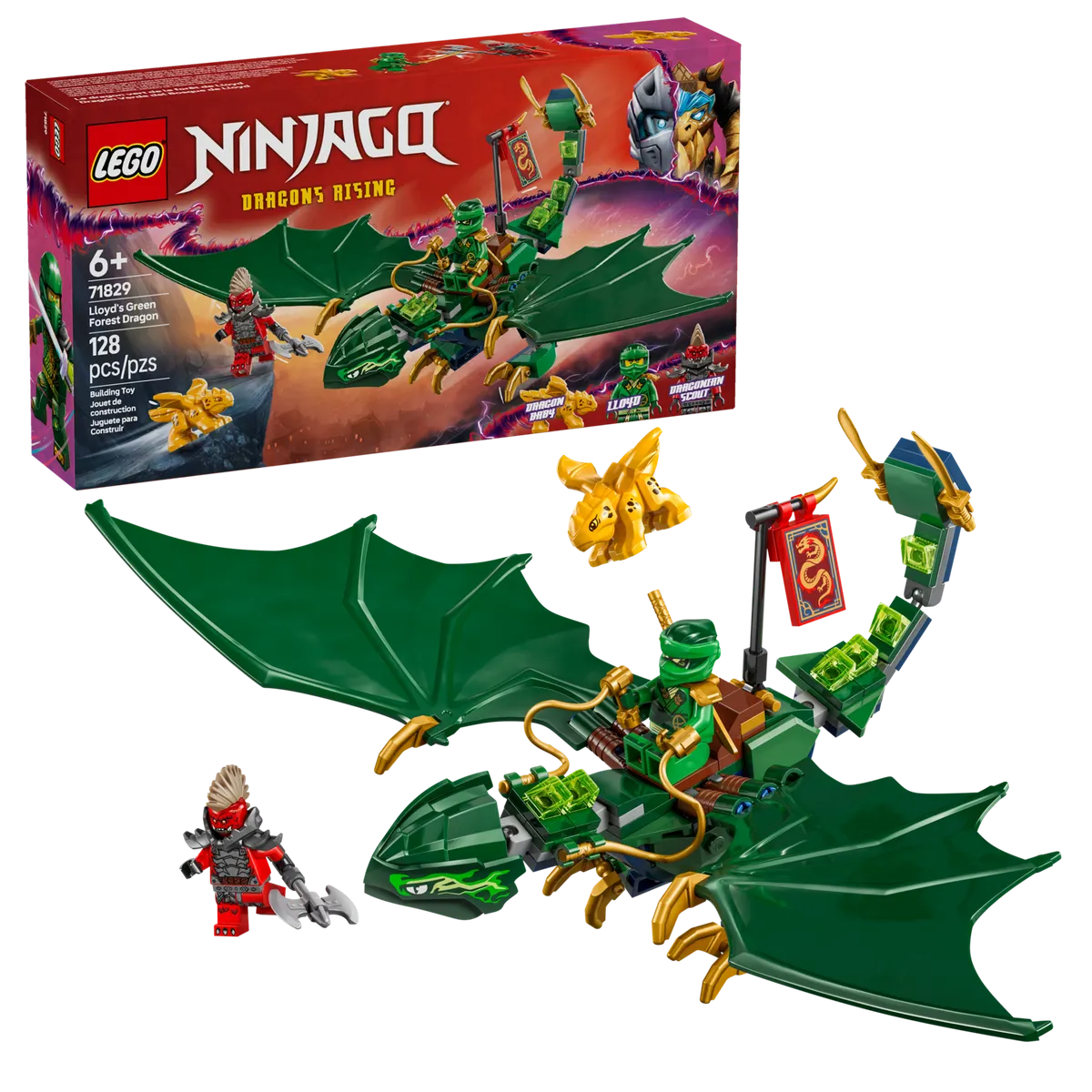 Lloyd's Green Forest Dragon - Image 2