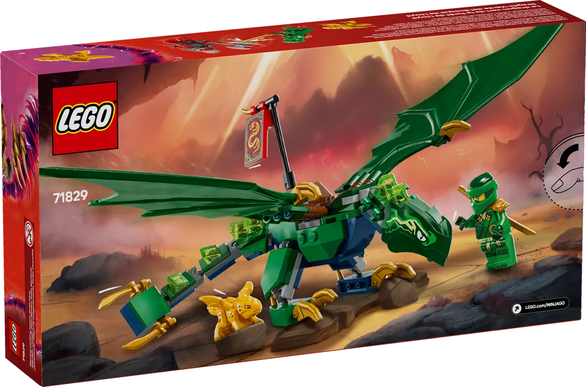 Lloyd's Green Forest Dragon - Image 6
