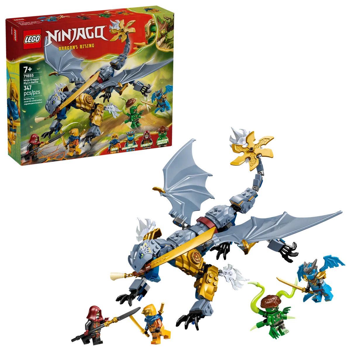 Ninja Dragon Riyu's Battle - Image 2