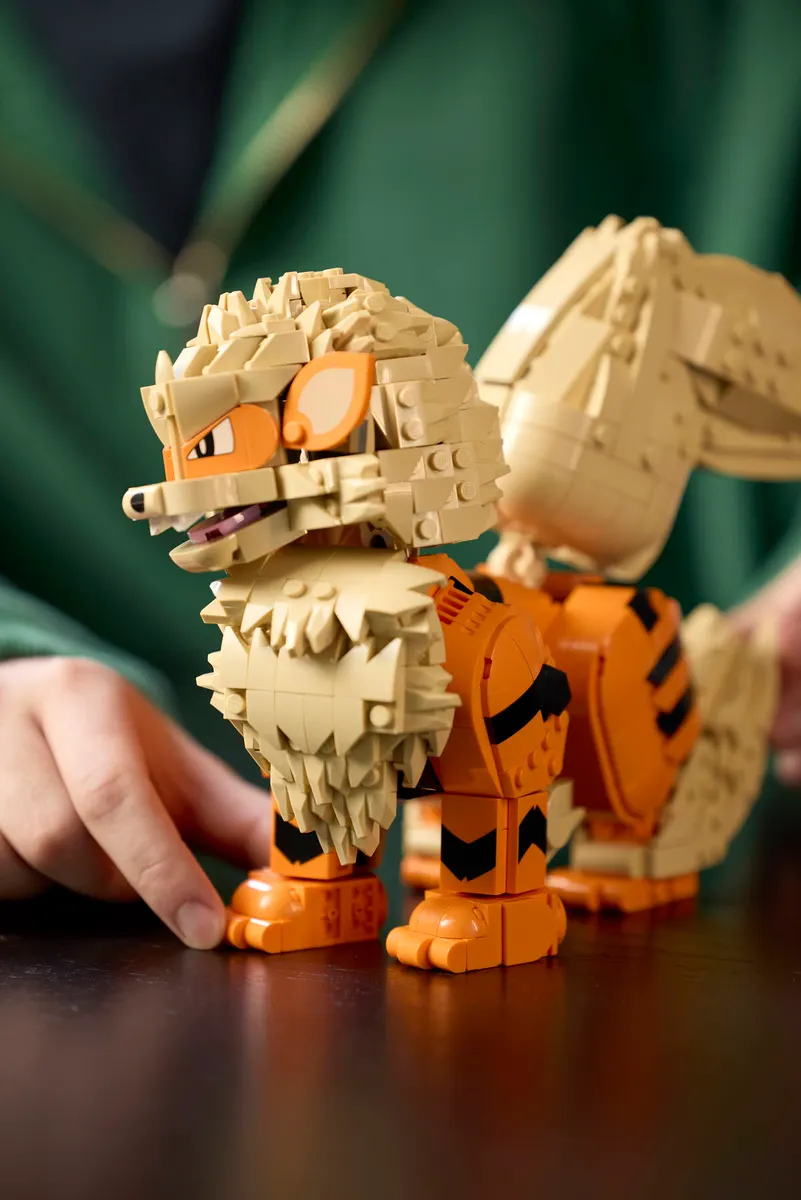 Arcanine - Image 9