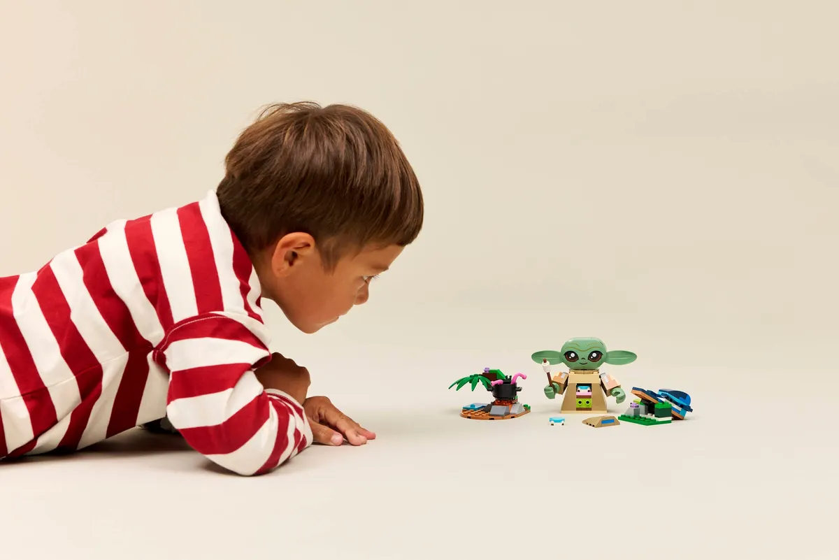 Grogu's Homestead - Image 3