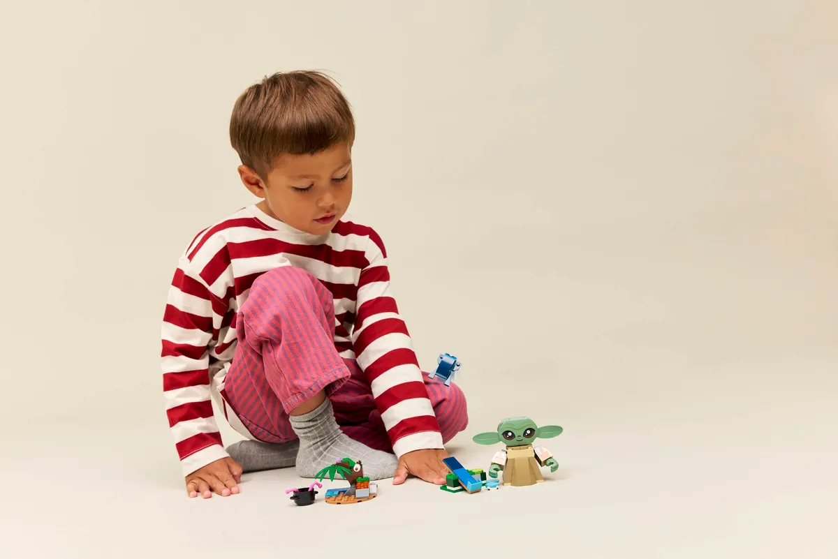 Grogu's Homestead - Image 4