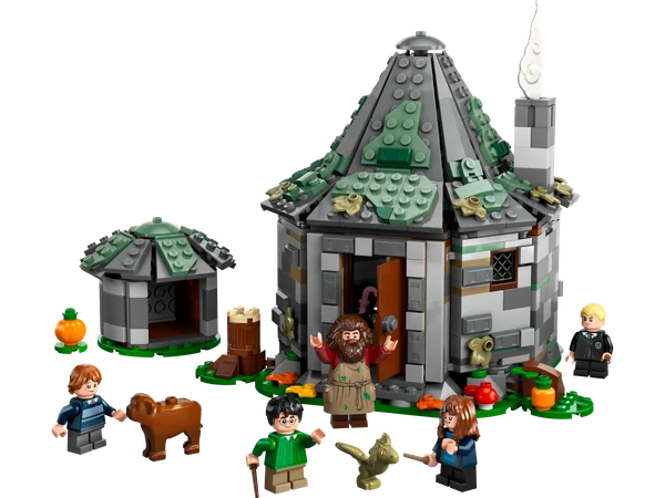 Hagrid's Hut: An Unexpected Visit