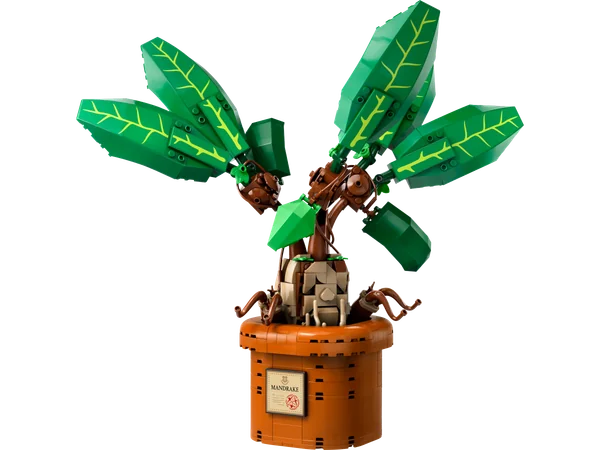 Mandrake
