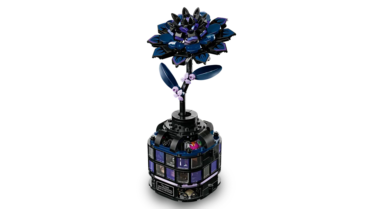 Black Dahlia Flower - Image 7